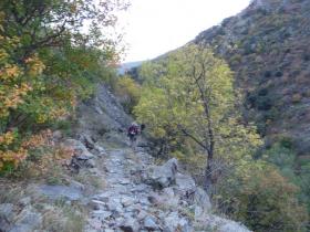 photo coins arrondis